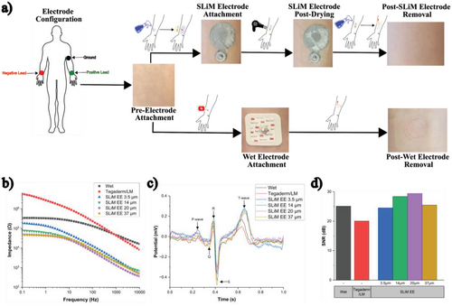 Silky Electrodes ELMNT Fig 5