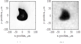 Comparison of the AOSS (a) and XCT (b) representations of the same flaw. This flaw corresponds to Flaw #2960 in the AOSS data and Flaw #1718 in the XCT data.