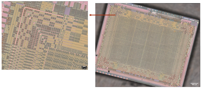 xilinx3 delayered shows high detail