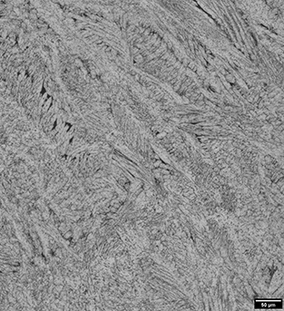 Image of 17-4 PH steel sample etched with Fry's Reagent etchant, at 100x (10x objective)