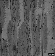 Raw 2D image of CMC sample, collected with the Robo-Met.3D