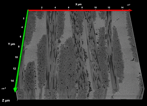 Image shows 3D reconstruction of the CMC sample.